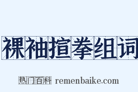 裸袖揎拳组词是什么意思的图片